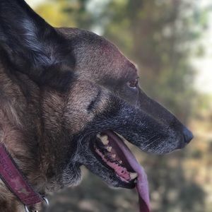 Meet your Posher, Serina